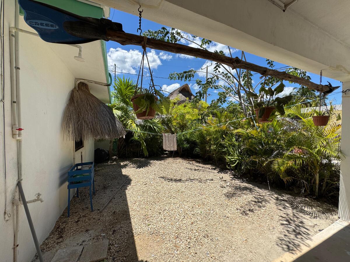 17 de 19: Patio trasero área común