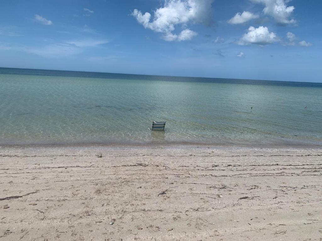 18 of 19: Vista de la playa de San Crisanto