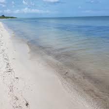 19 of 19: Vista de la playa de San Crisanto