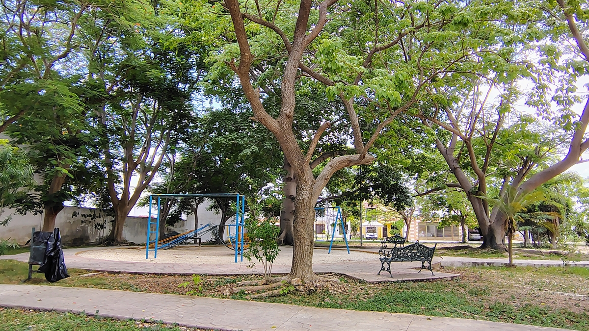 14 de 14