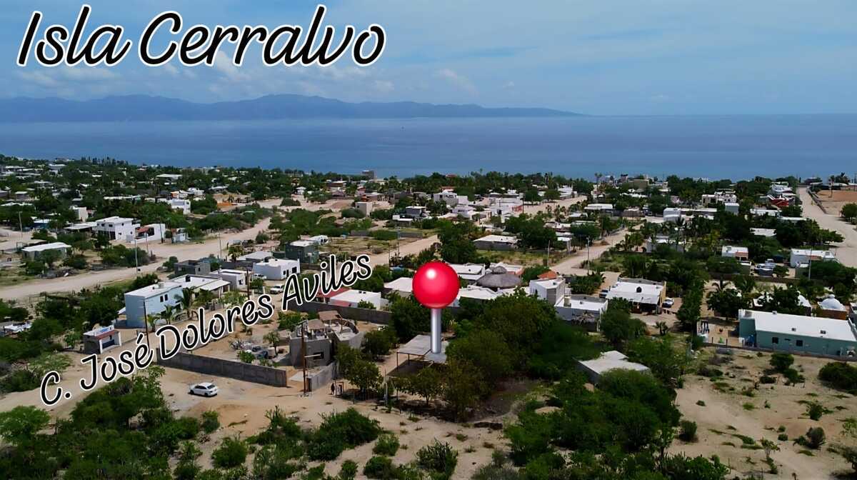 1 de 16