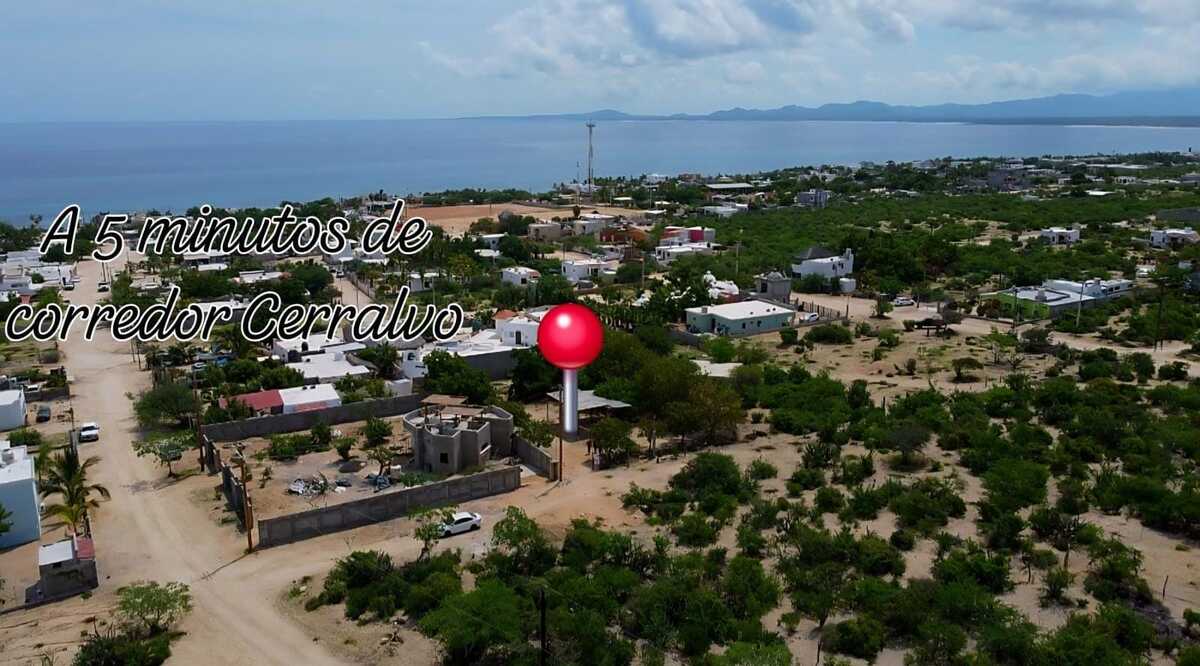 3 de 16