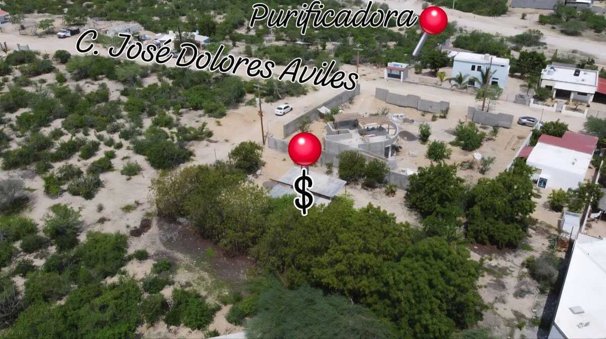 5 de 16