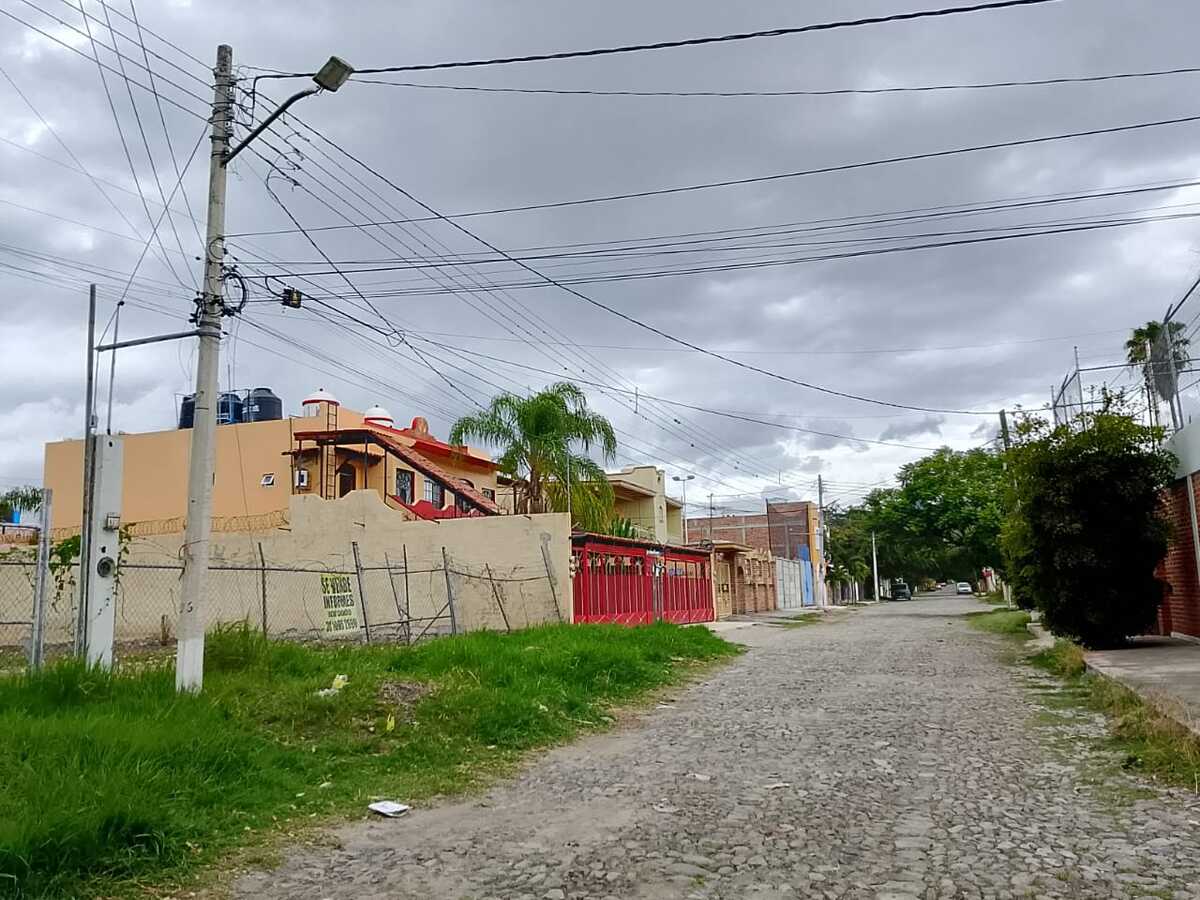 1 de 6