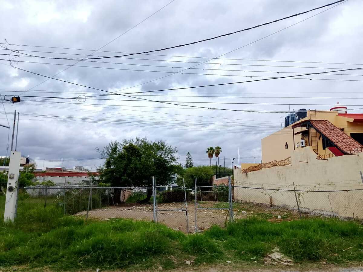2 de 6