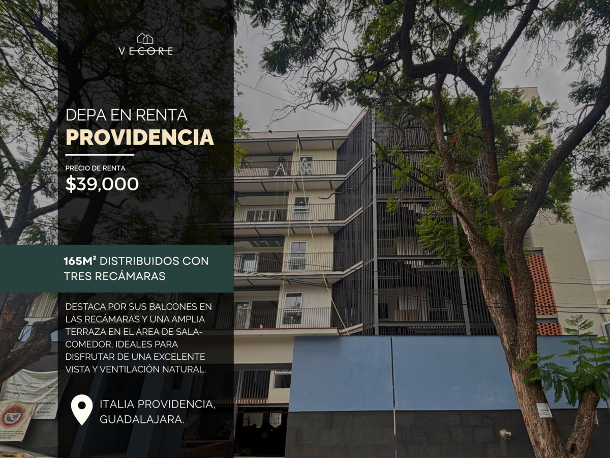 19 de 19