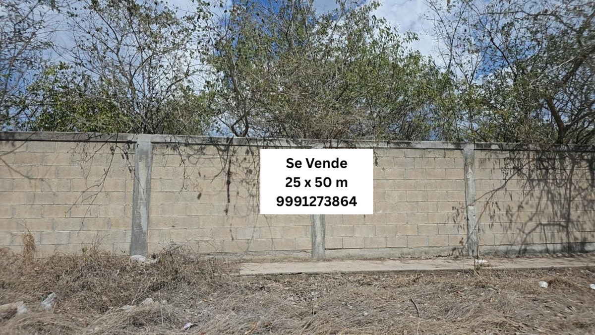 1 de 3