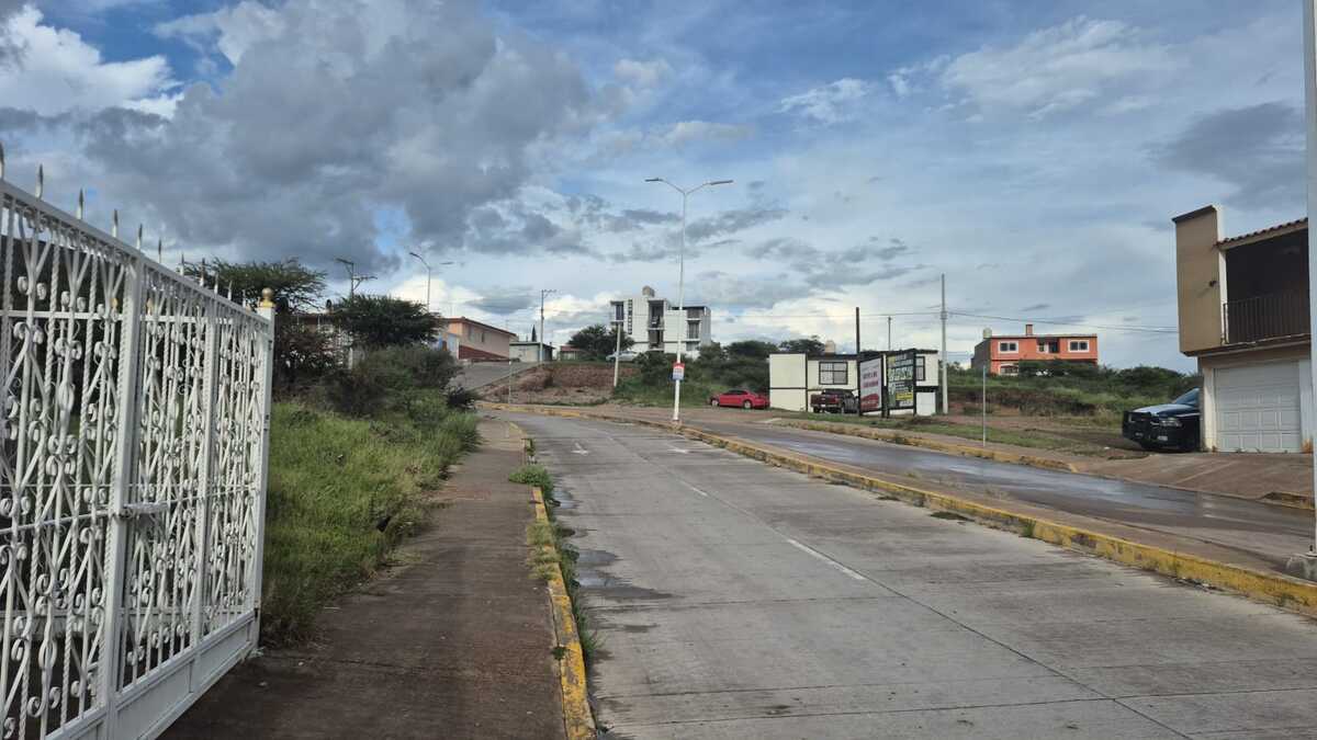 5 de 7