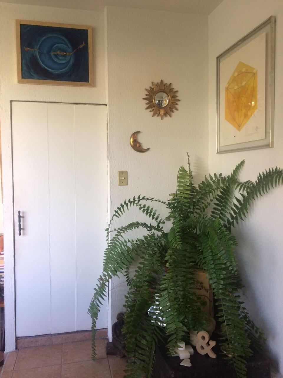 5 de 6