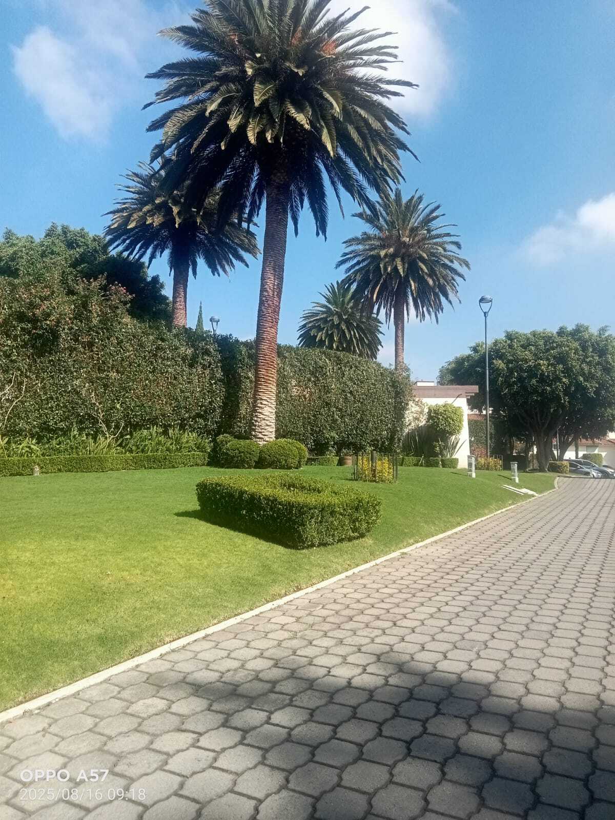 1 de 30