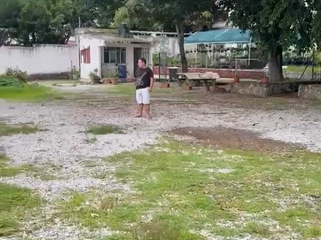 12 of 39