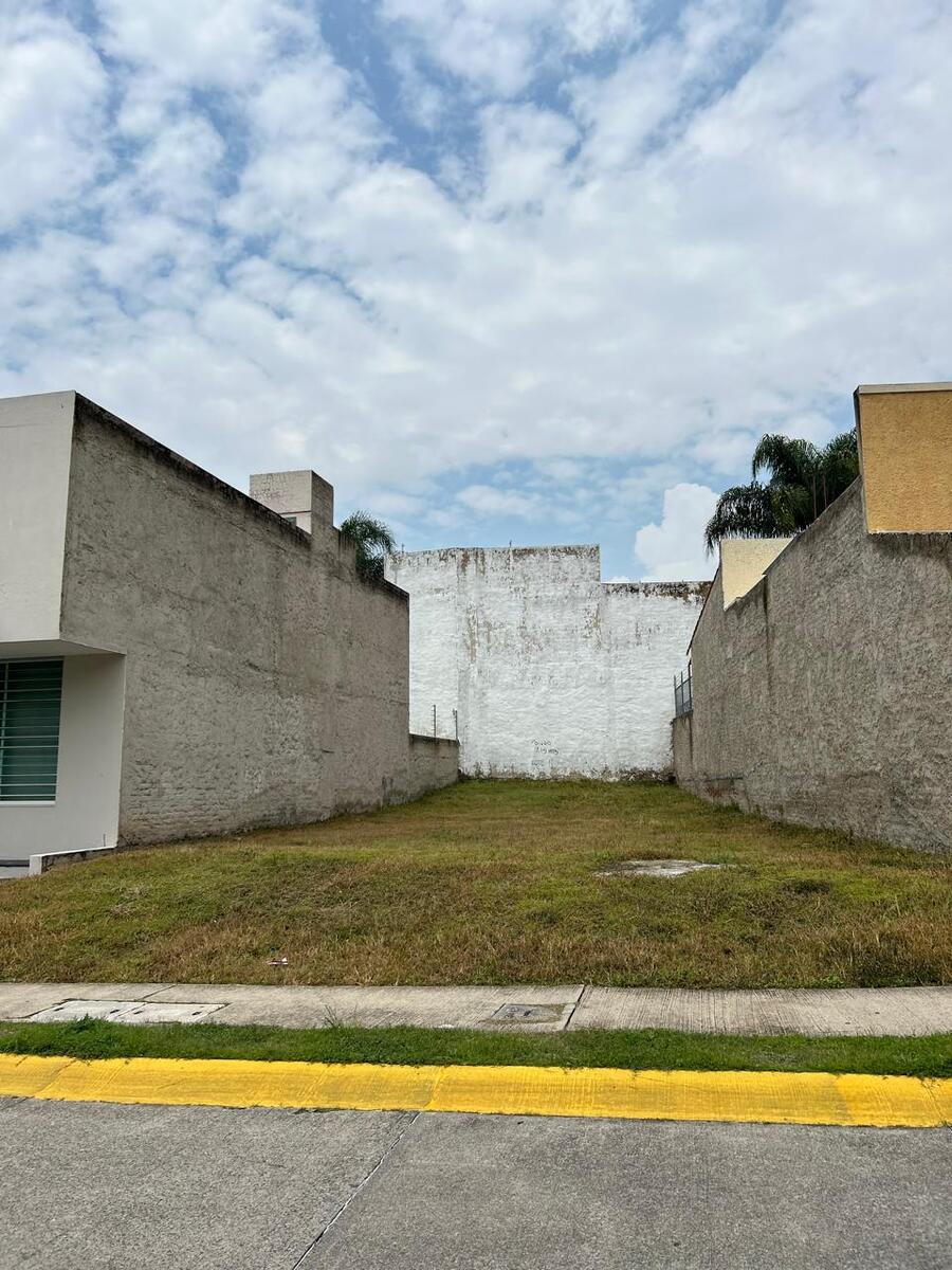 3 de 6