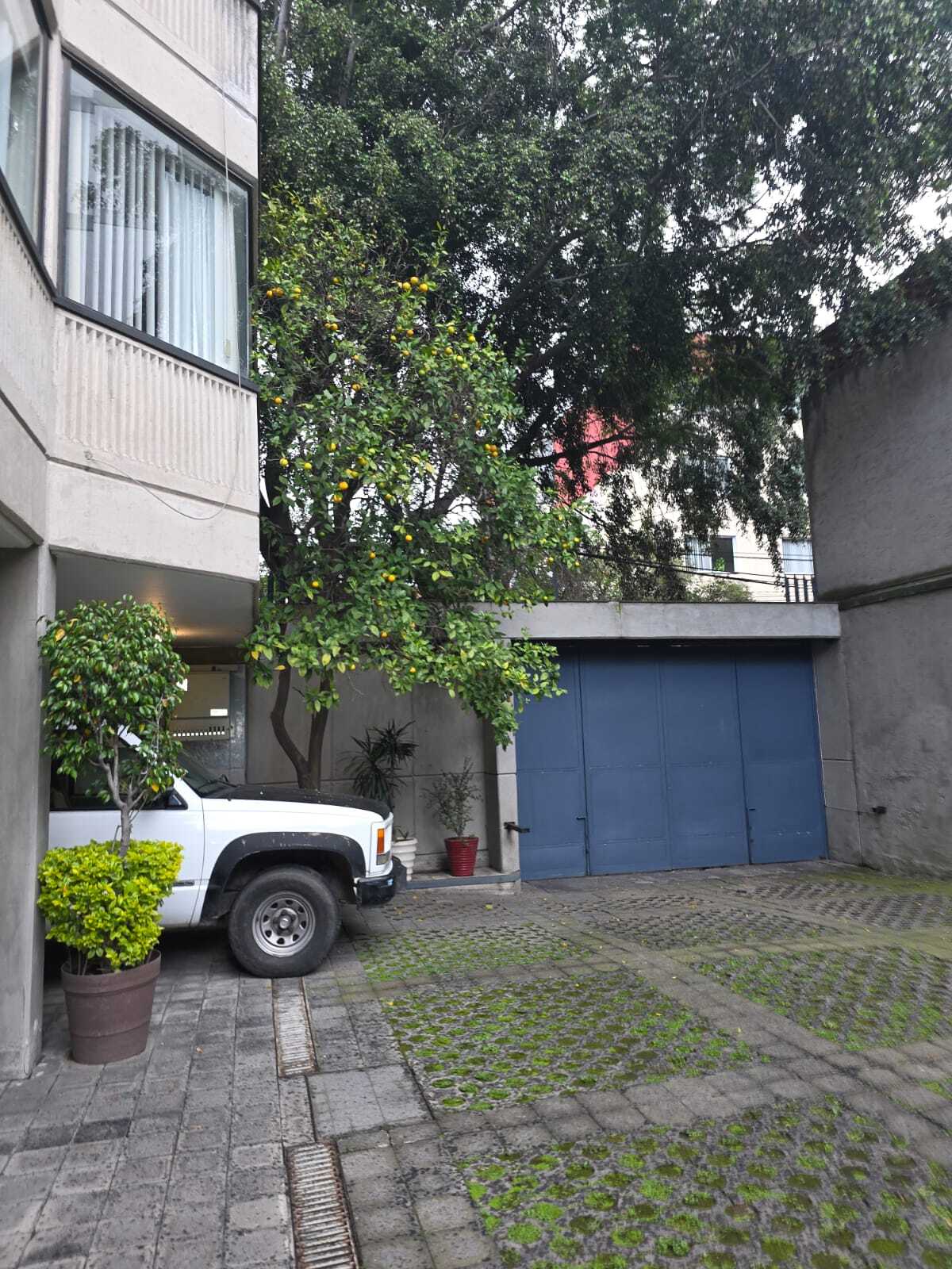 17 de 19: PUERTA ELECTRICA