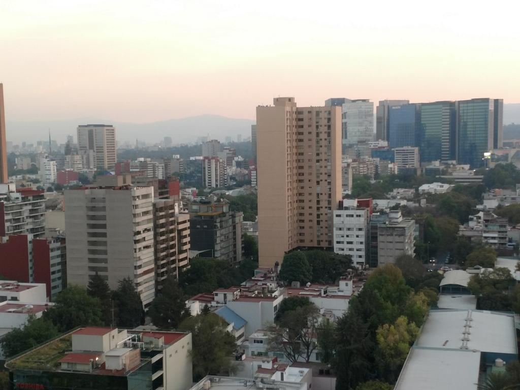 9 de 49