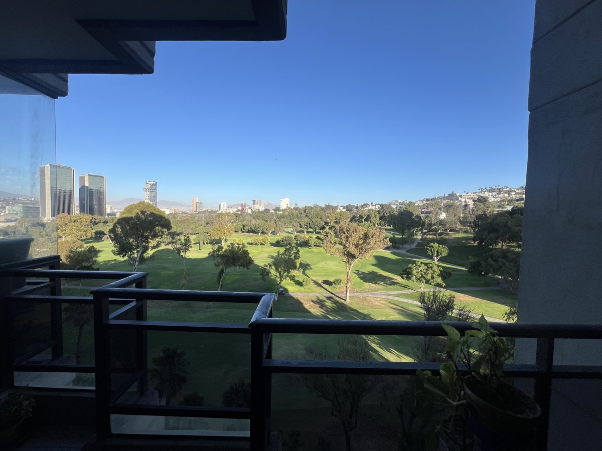 2 de 31