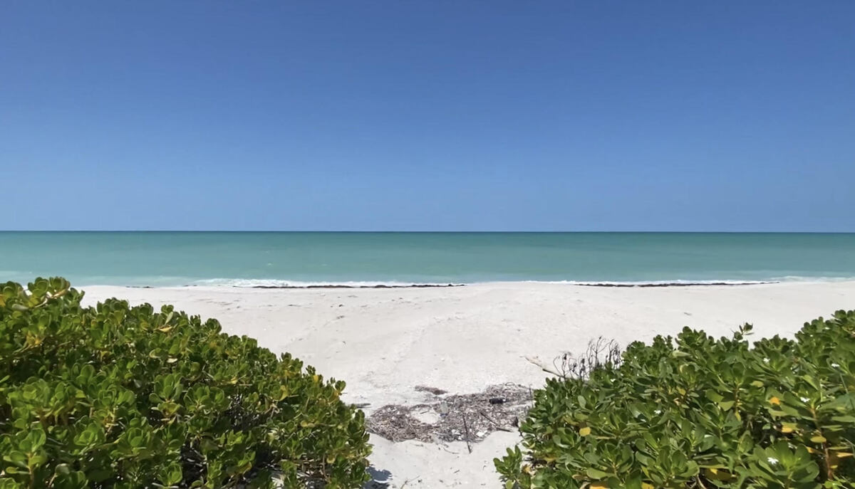 1 of 29: Playa