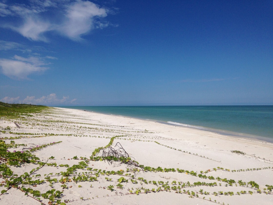 10 of 38: Playa y mar