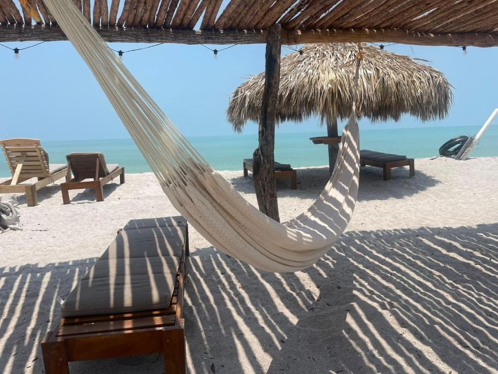 12 of 38: Playa