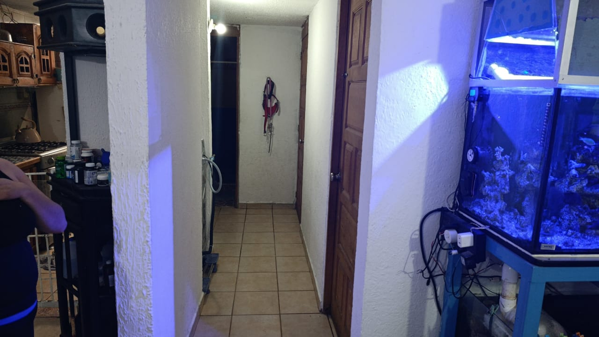 3 de 14