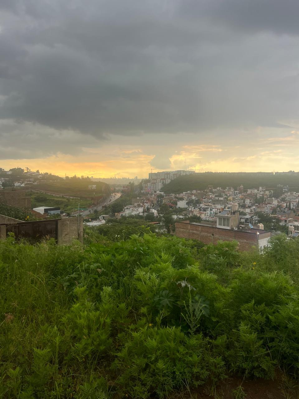 1 de 13