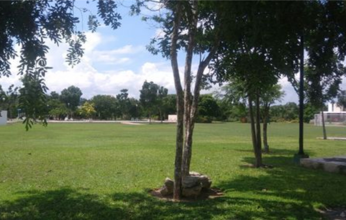5 de 5