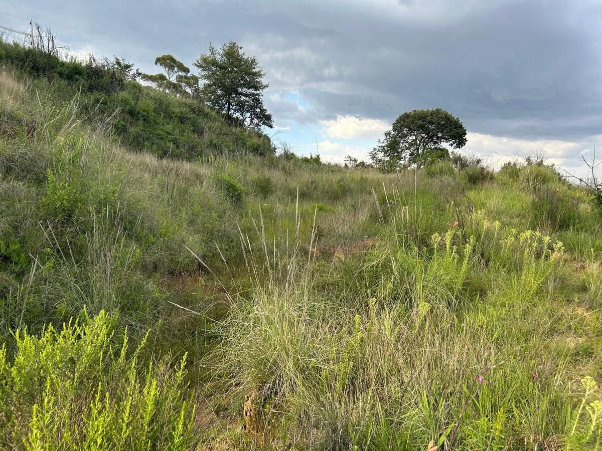 Se Vende Terreno En San Bartolito, Huixquilucan (muy cerca de Bosque Real) - foto 4