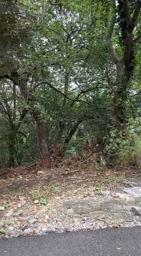 2 de 3