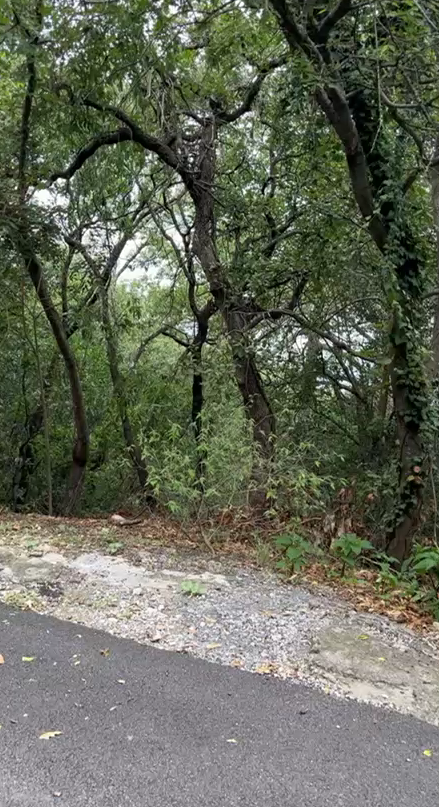 3 de 3
