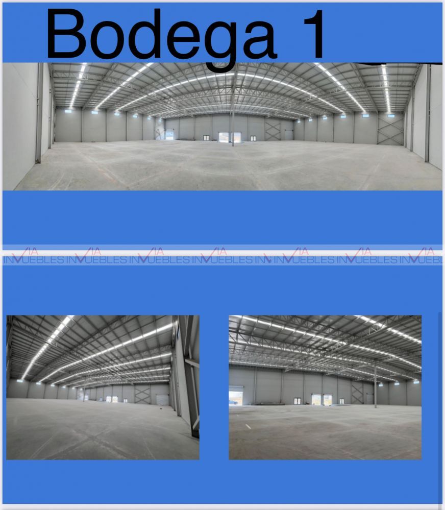 5 de 8