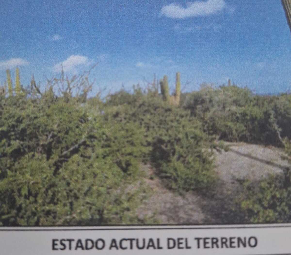 2 de 6