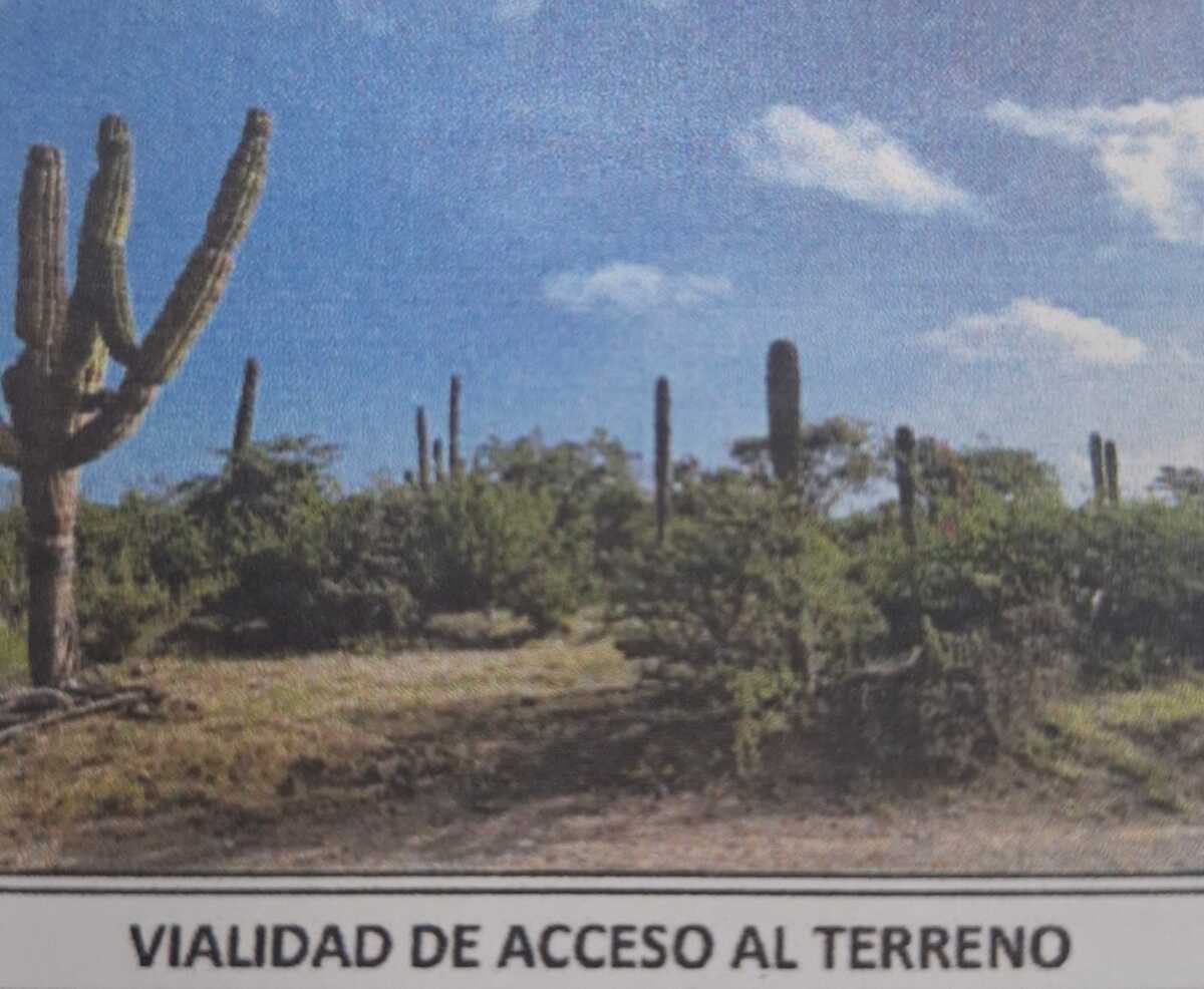 3 de 6