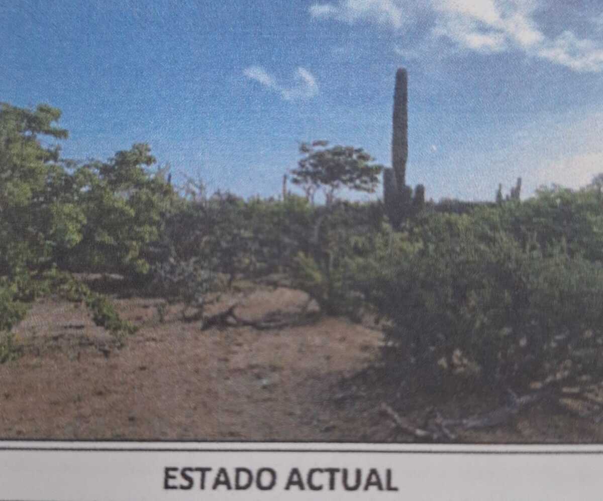 4 de 6