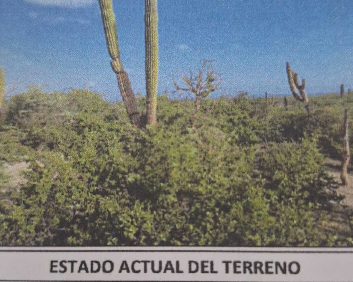 5 de 6