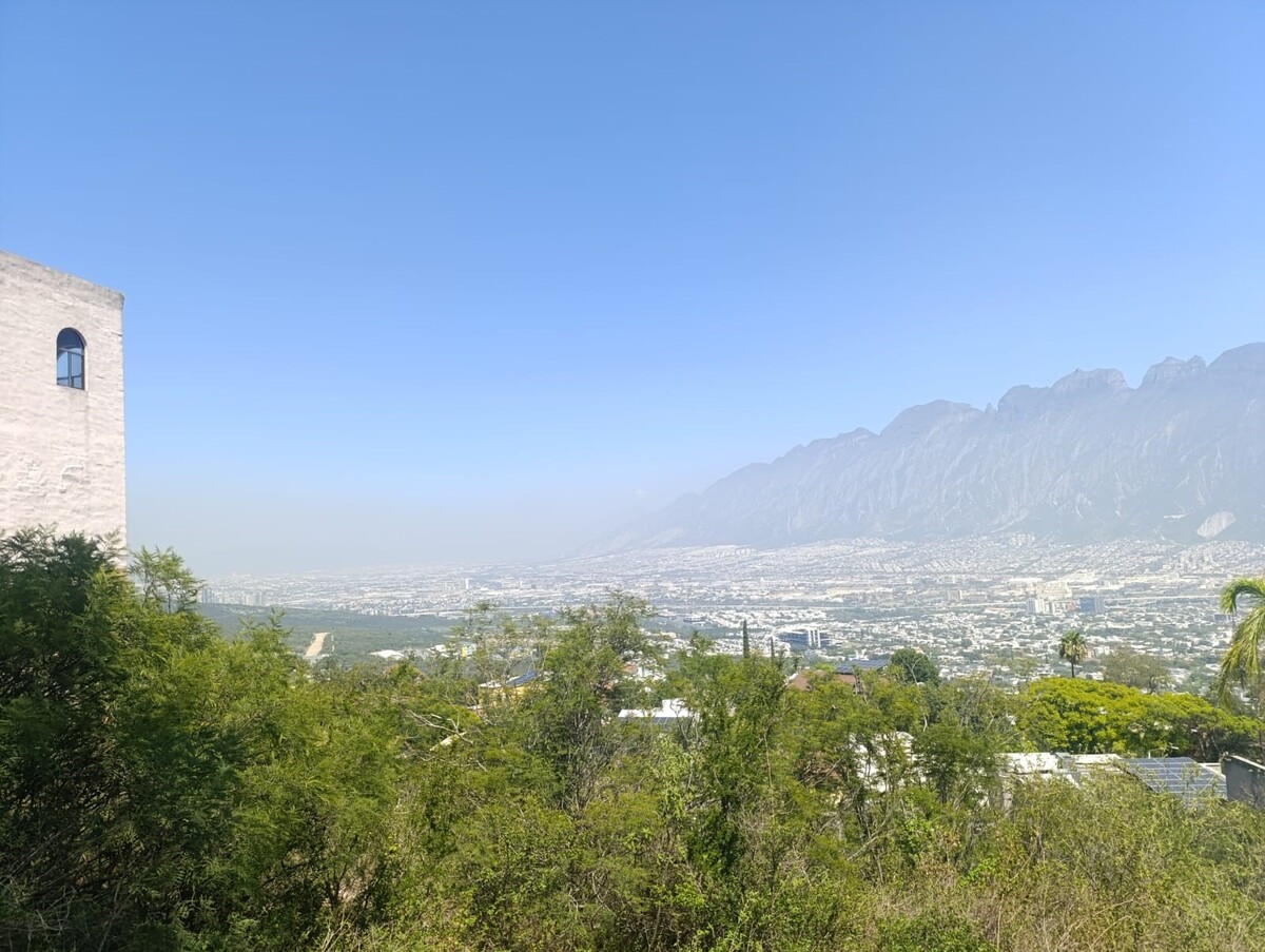5 de 6
