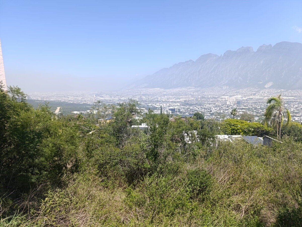 4 de 6