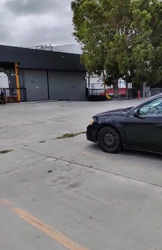 3 de 6