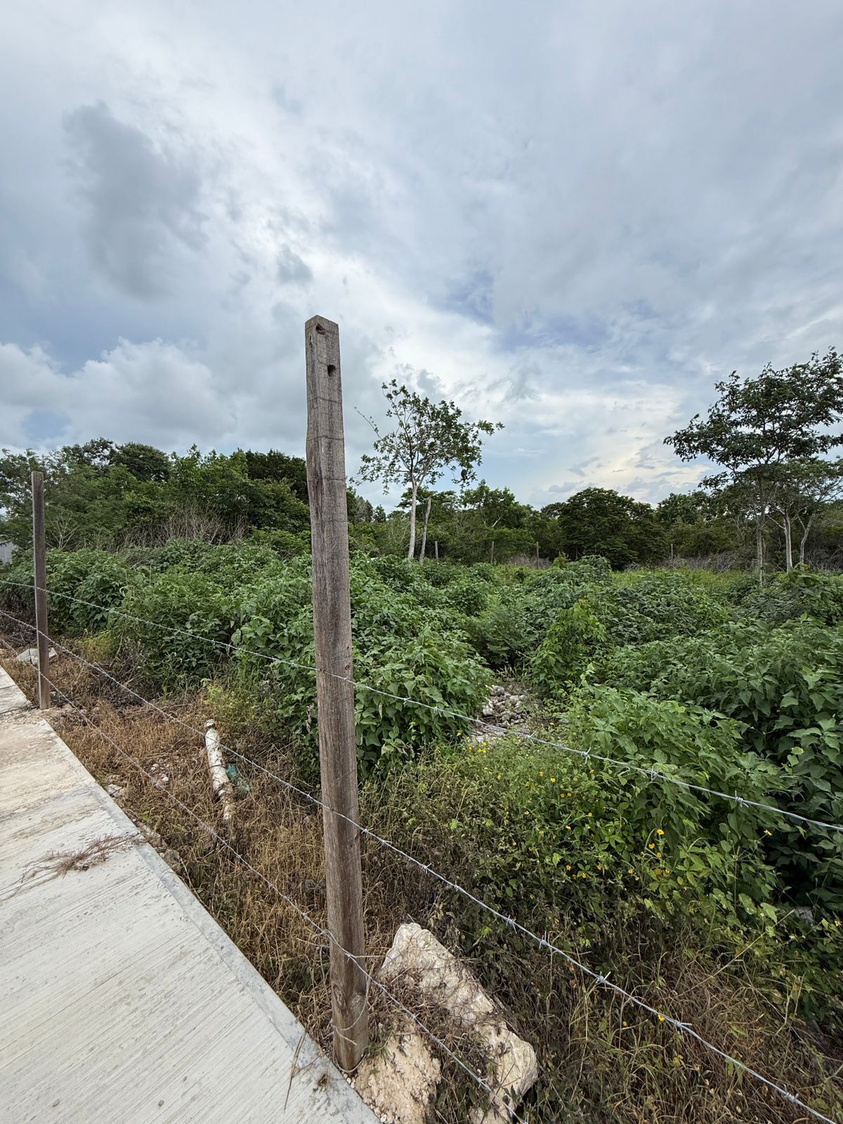 4 de 12: Terreno cercado