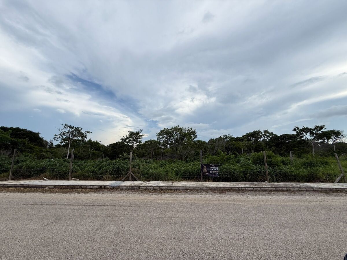 8 de 11: Medidor en el terreno