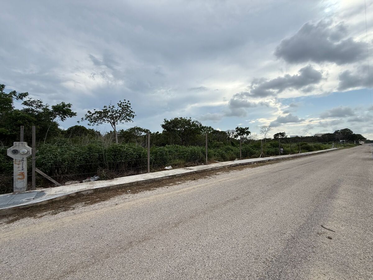 11 de 12: Calle pavimentada