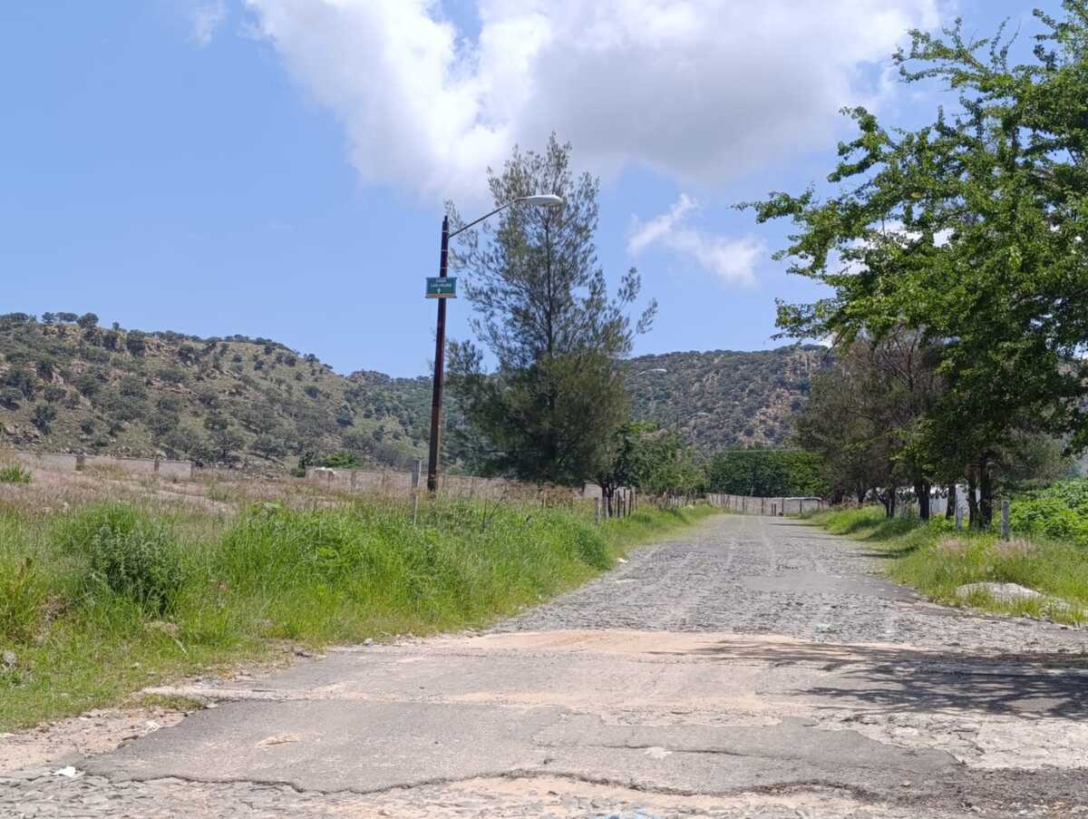 3 de 12