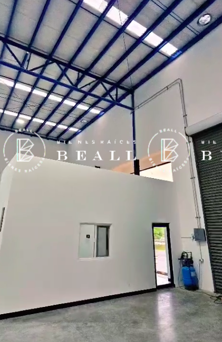5 de 5