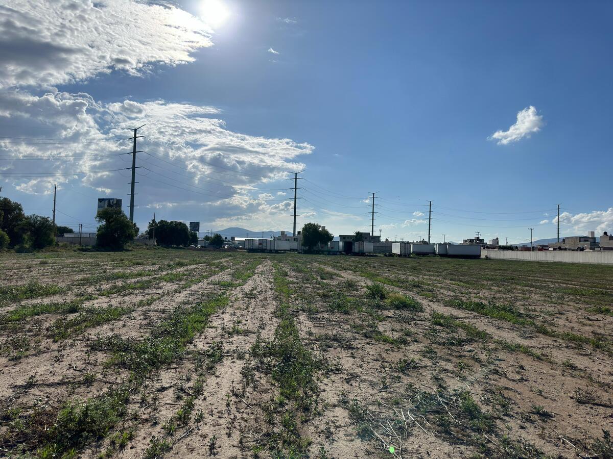 7 de 7: Terreno