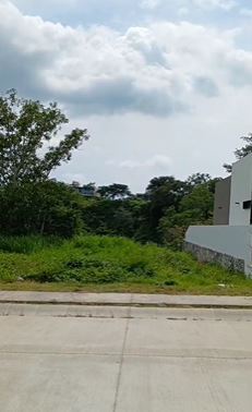10 de 10