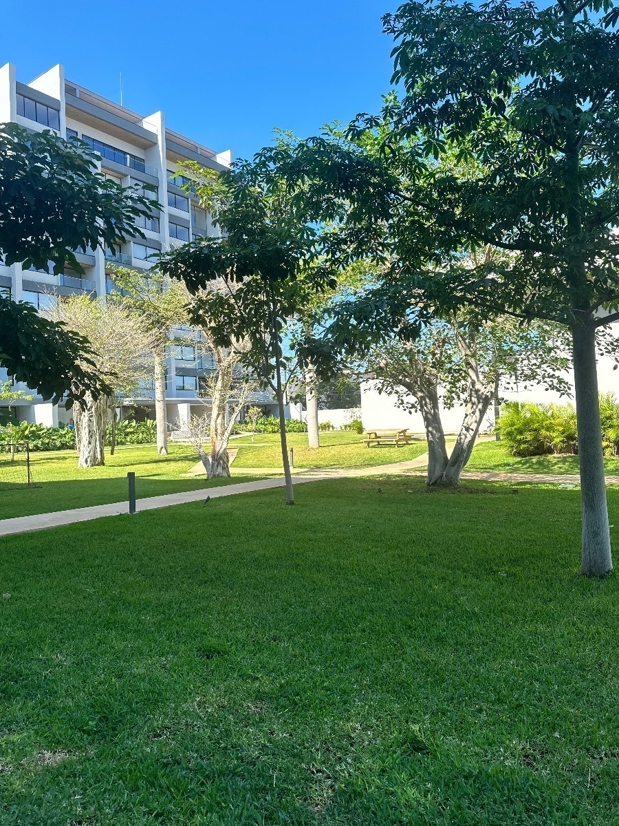 36 de 50