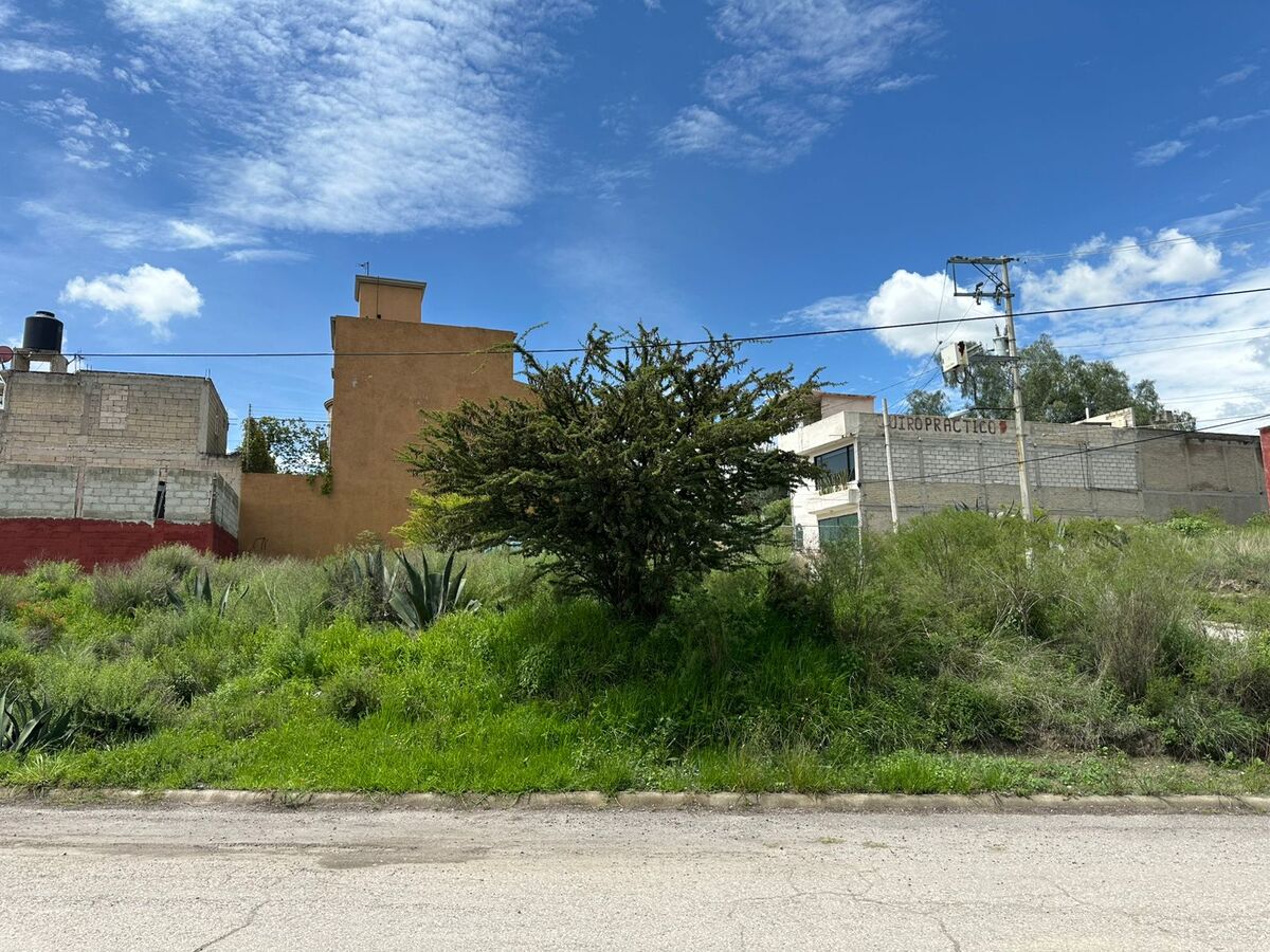 4 de 8