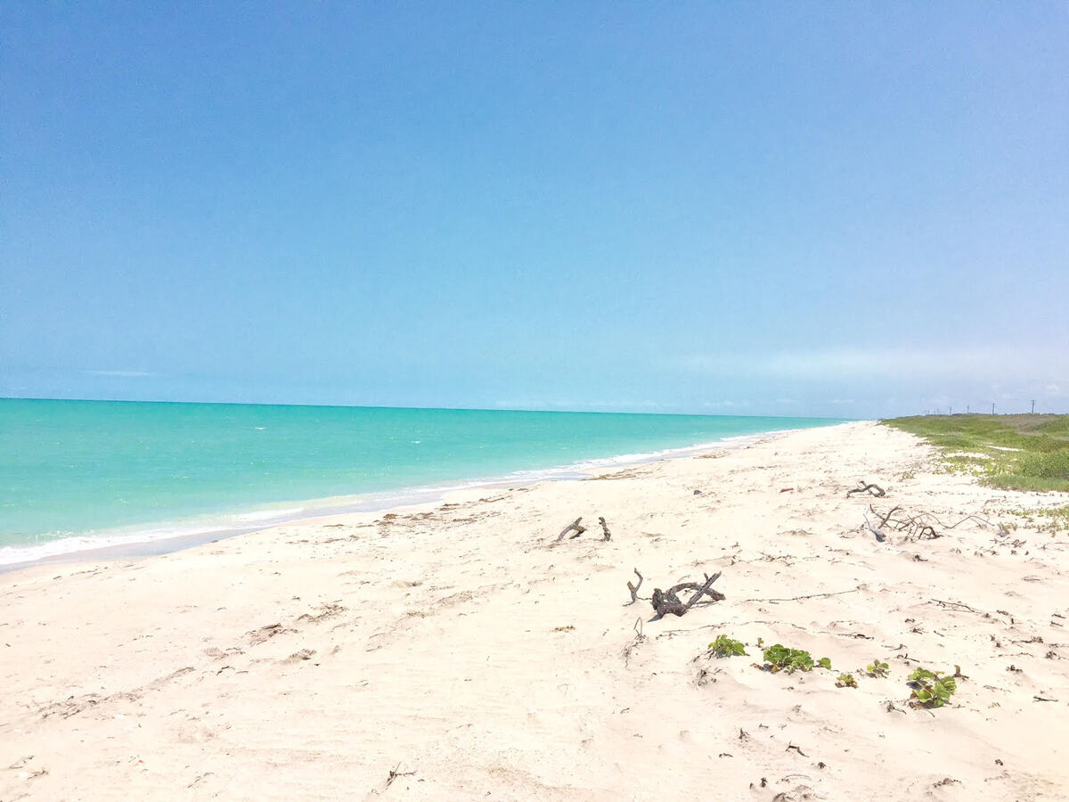 1 of 12: Playa