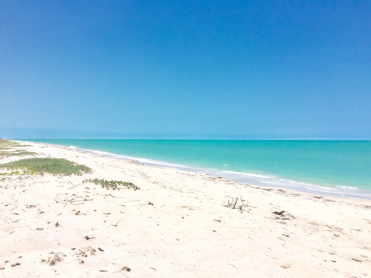 2 of 12: Playa