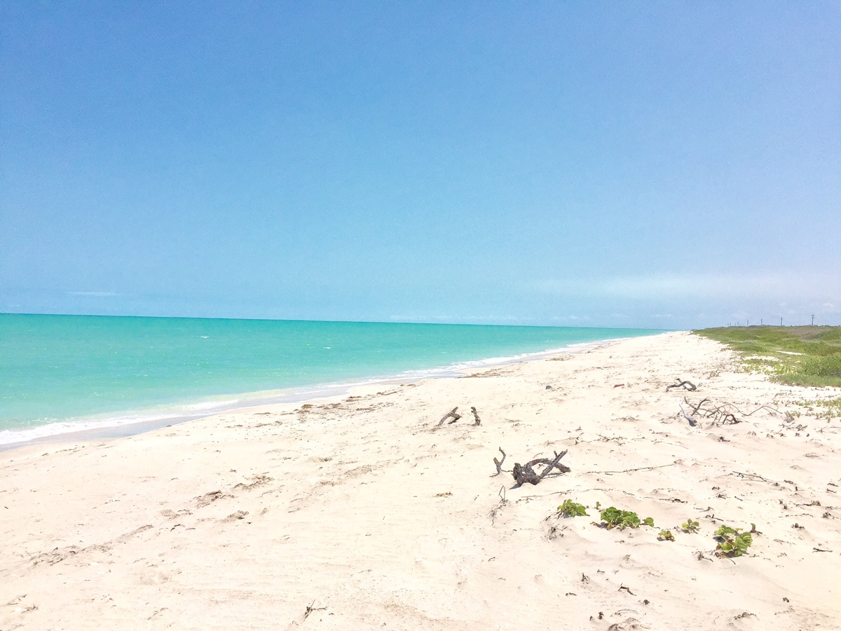 15 de 40: Playa