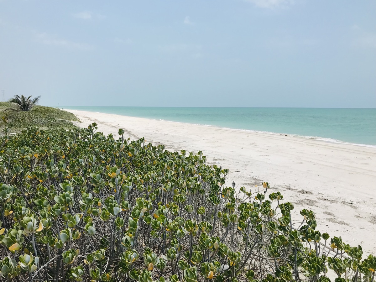 18 de 40: Playa