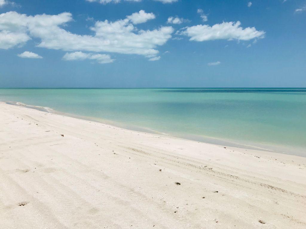 33 de 40: playa